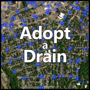 adopt a drain